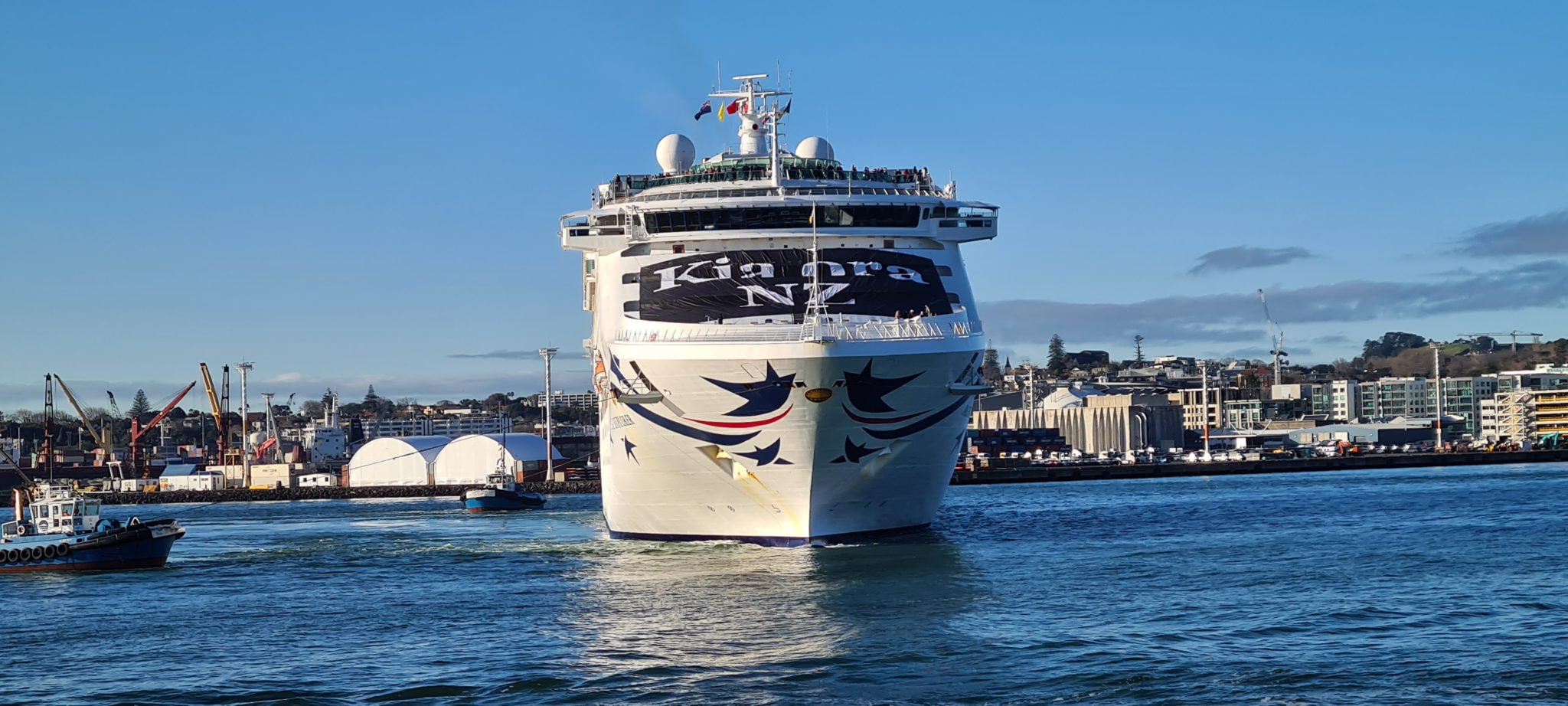 cruise companies nz